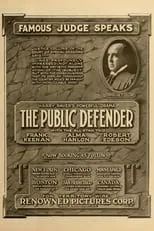 Póster de la película The Public Defender