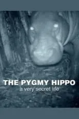 Póster de la película The Pygmy Hippo: A Very Secret Life