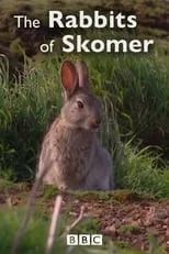 Daniel Evans es Self - Narrator (voice) en The Rabbits of Skomer