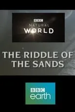 Póster de la película The Riddle of the Sands