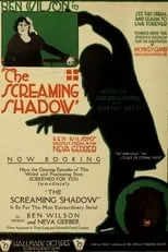 Póster de The Screaming Shadow