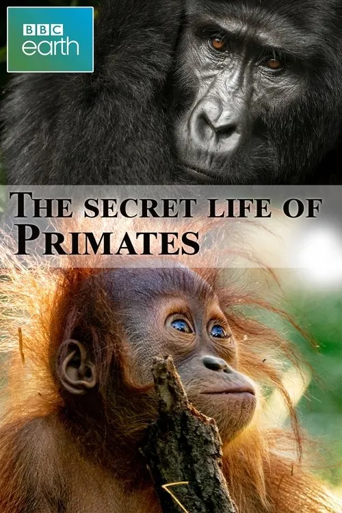 Póster de la película The secret life of Primates