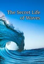 David Malone es Himself - Presenter en The Secret Life of Waves