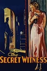 Póster de la película The Secret Witness