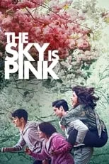 Poster de la película The Sky Is Pink - Películas hoy en TV