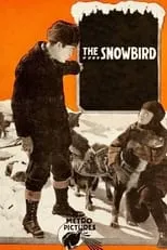 Warren Cook es John Wheeler en The Snowbird