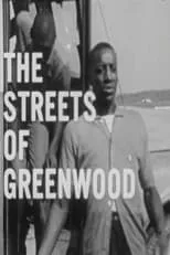 Póster de la película The Streets of Greenwood