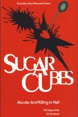 Sigtryggur Baldursson es Self en The Sugarcubes: Murder and Killing in Hell (Live at Manchester Academy)