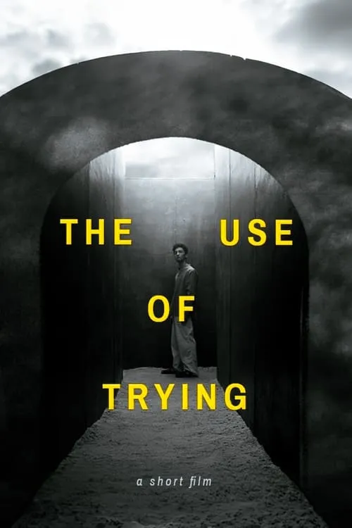 Póster de la película The Use of Trying