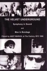 Stephen Shore interpreta a Himself en The Velvet Underground and Nico: A Symphony of Sound