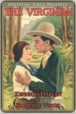 Póster de la película The Virginian