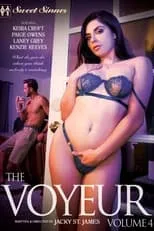 Poster de The Voyeur 4