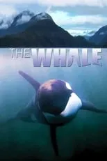 Póster de la película The Whale