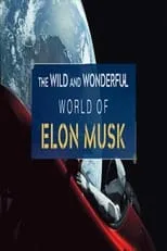 Póster de la película The Wild and Wonderful World of Elon Musk