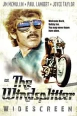 Póster de la película The Windsplitter