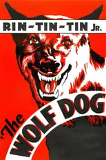 Rin-Tin-Tin Jr. interpreta a Pal en The Wolf Dog