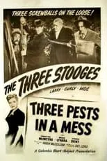 Póster de la película Three Pests in a Mess