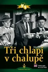 Póster de la película Tři chlapi v chalupě