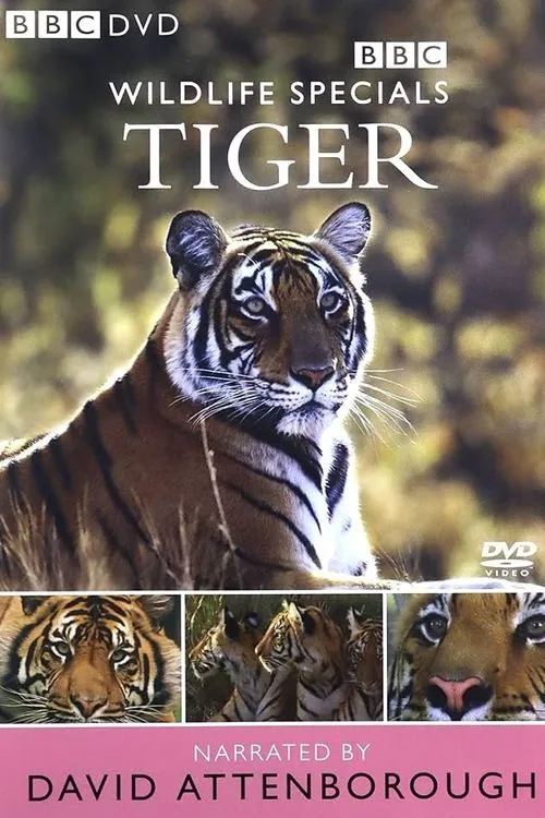 Póster de la película Tiger: The Elusive Princess