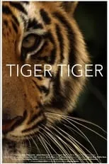 Poster de Tiger Tiger