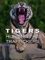 Aldo Kane es Narrator en Tigers: Hunting the Traffickers