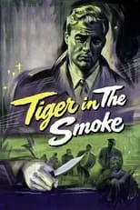 Póster de la película Tigre en la niebla