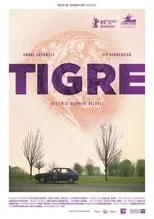 Poster de Tigre