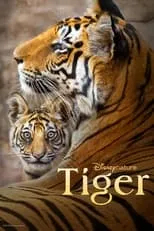 Poster de la película Tigres - Películas hoy en TV