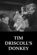 Peggy Marshall es Mrs Riordan en Tim Driscoll's Donkey