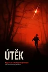 Película Üşütük