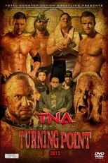 Poster de TNA Turning Point 2013