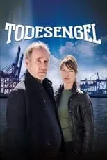 Poster de Todesengel