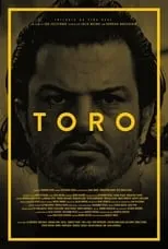 Poster de la película Toro - Películas hoy en TV