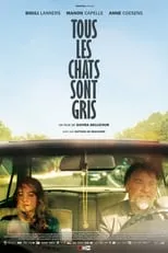 Poster de la película Tous les chats sont gris - Películas hoy en TV