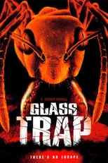 Poster de la película Trampa de cristal - Películas hoy en TV