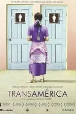 Poster de la película Transamerica - Películas hoy en TV