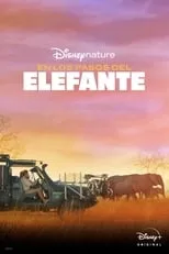 Película Tras los pasos del elefante