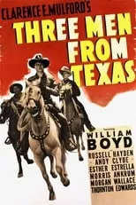 Póster de la película Tres hombres de Texas