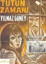 Película Tütün Zamanı