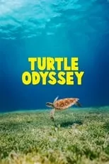 Póster de la película Turtle Odyssey