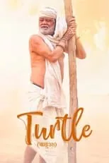 Portada de Turtle