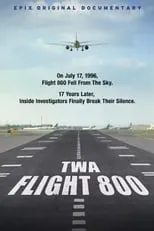 Película TWA Flight 800