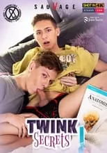 Película Twink Secrets