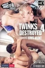 Poster de la película Twinks Destroyed 4 - Películas hoy en TV