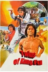 Póster de la película Twins of Kung Fu