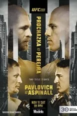 Poster de UFC 295: Prochazka vs. Pereira