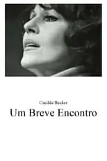 Póster de Um Breve Encontro