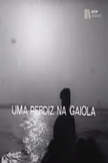 Película Uma Perdiz na Gaiola