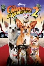 Portada de Un chihuahua en Beverly Hills 2