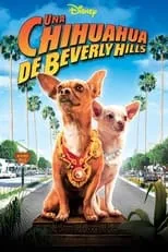 Nick Zano en la película Un chihuahua en Beverly Hills